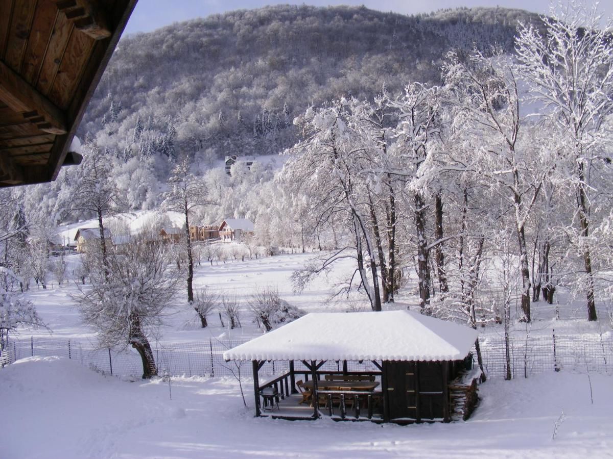 Курортные отели Vila Carpathia Бран-34