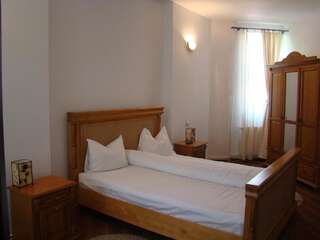 Курортные отели Vila Carpathia Бран Двухместный номер с 1 кроватью-2