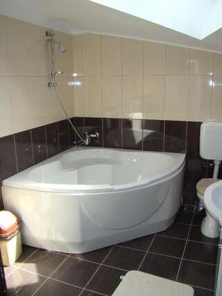 Курортные отели Vila Carpathia Бран Двухместный номер с 1 кроватью-4