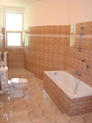 Курортные отели Vila Carpathia Бран Полулюкс-4