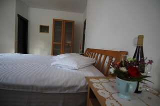 Курортные отели Vila Carpathia Бран Двухместный номер с 1 кроватью или 2 отдельными кроватями и дополнительной кроватью (для 2 взрослых и 1 ребенка)-3