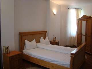 Курортные отели Vila Carpathia Бран Двухместный номер с 1 кроватью-6