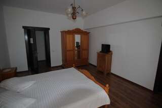 Курортные отели Vila Carpathia Бран Двухместный номер с 1 кроватью-10